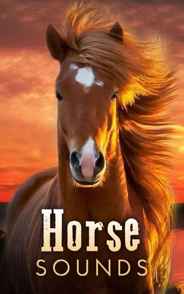 Horse Sounds - Preview 5