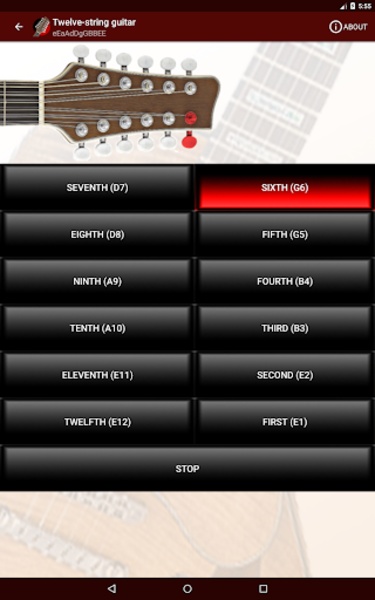 Tune Your Guitar - Preview 1