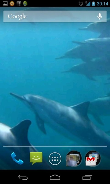 Dolphins 3D - Preview 3