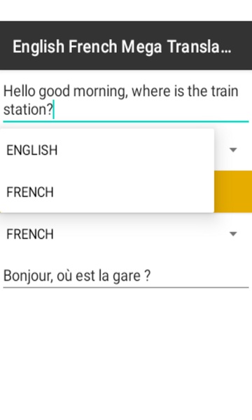 English French Mega Translator - Preview 2