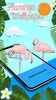 Charming Flamingo — APUS Live screenshot 4