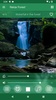 Relaxe Floresta screenshot 12