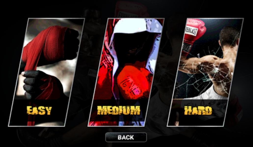Real 3D Boxing Punch - Preview 8