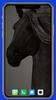 Horse Wallpaper screenshot 8