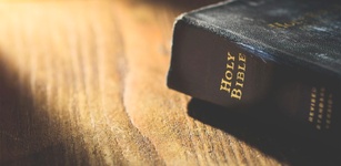 Imagine de prezentare pentru Santa Biblia Reina Valera 1960
