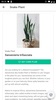 PlantIn screenshot 6