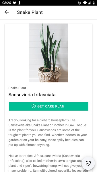 PlantIn: Plant Identification - Preview 6