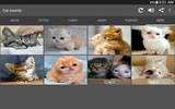Кот звуки screenshot 2