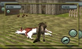 Wild Wolf Attack Simulator 3D screenshot 1