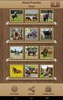 Pferde Puzzle-Spiele screenshot 7
