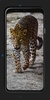 Leopard Wallpapers screenshot 6