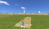 Beach Cricket screenshot 3