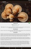 Book of mushrooms screenshot 3