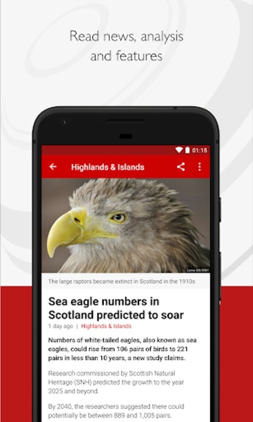 BBC News - Preview 14