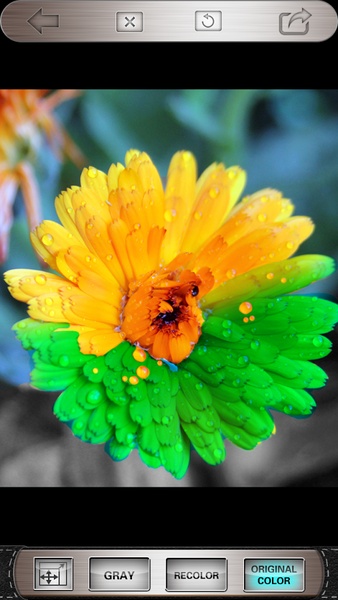 Color Effects Free - Preview 3