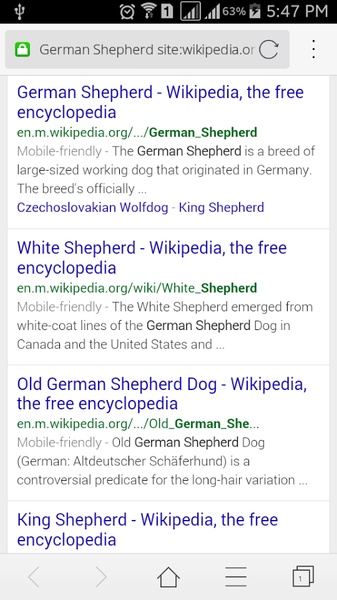 Advanced Google Search - Preview 6