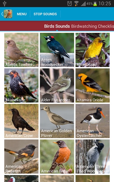 North American Birds Sounds - Preview 23