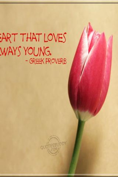 Quote pictures wallpaper HD - Preview 1