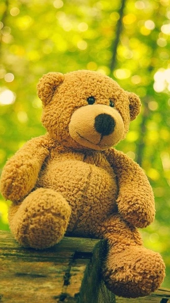 Teddy bear sale wallpaper for android