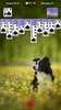 Solitaire screenshot 19