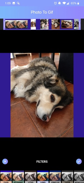 GIF Maker, GIF Editor, Photo to GIF, Video to GIF - Preview 3