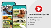 Animal Ringtone screenshot 4