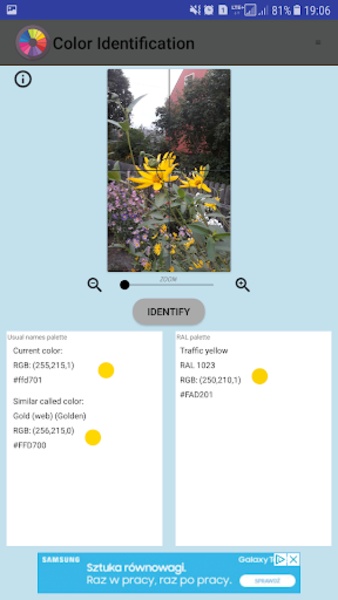 Color Identification - Preview 11