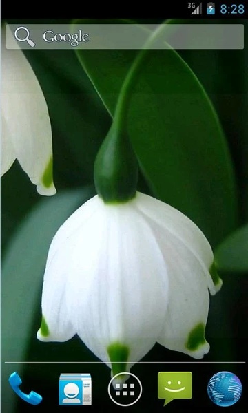 Amazing Spring Flowers - Preview 3