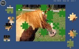 Puzzle Horses screenshot 2