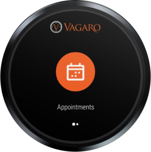 Vagaro - Preview 5