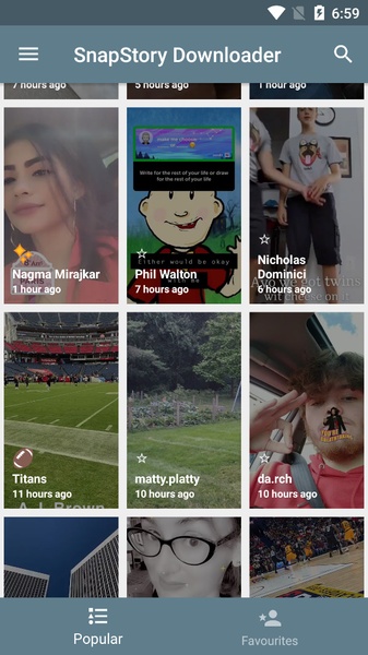 SnapStory Downloader - Preview 2