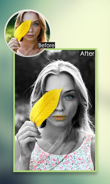 ColorPhoto - Preview 4