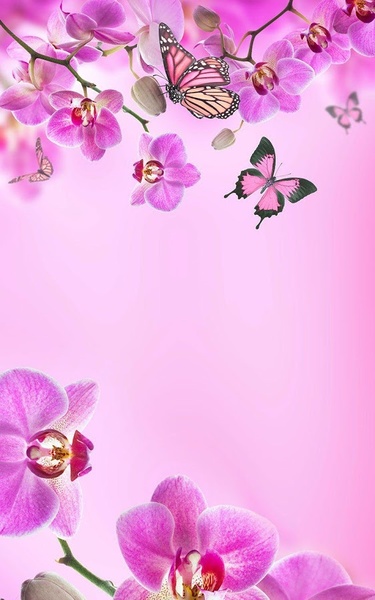 Pink Flowers Live Wallpaper - Preview 7