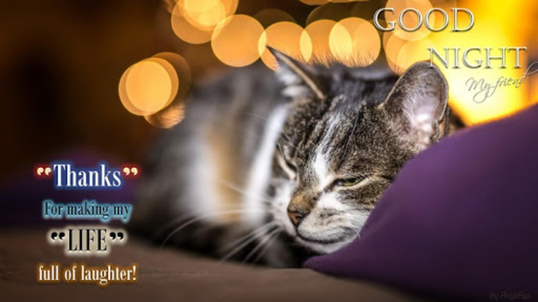Good Morning Image - Preview 3