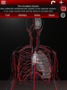Circulatory System in 3D (Anatomy) screenshot 16
