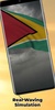Guyana Flag screenshot 1