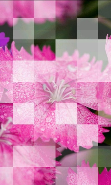 Photile - Preview 1