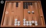 Odesys Backgammon screenshot 5
