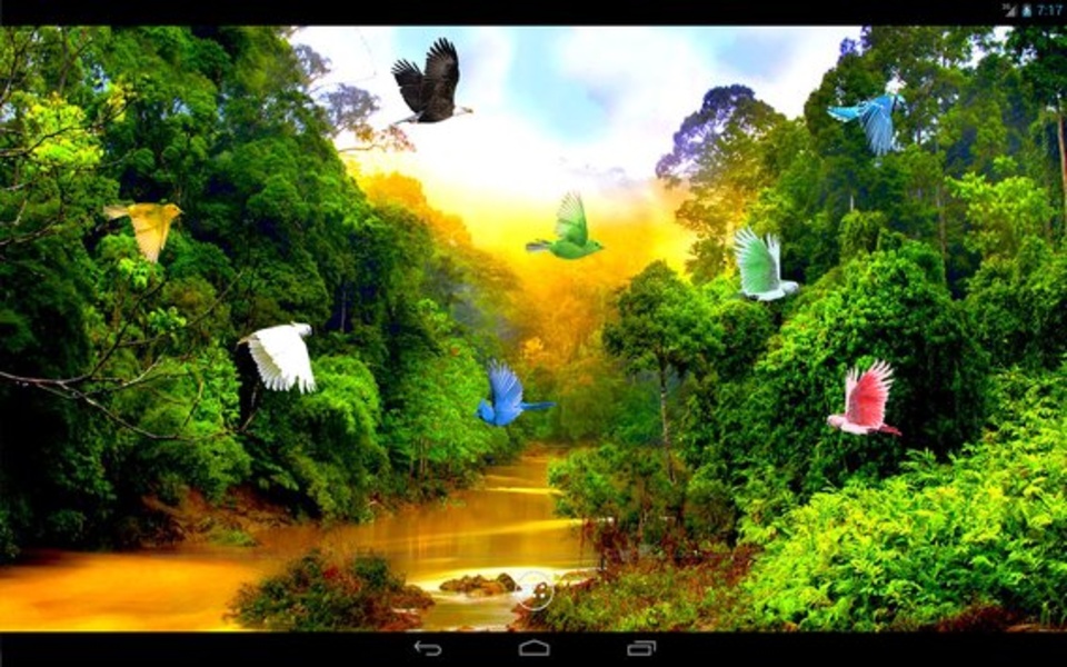 Forest River - Preview 2