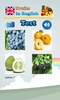 Learn Fruits in English screenshot 3