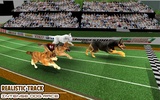 Dog Racing game - dog games screenshot 7