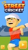 Street Cricket screenshot 9