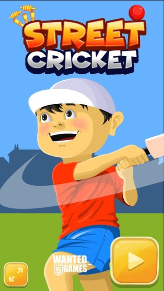Street Cricket - Preview 9