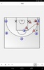 Basketball Playview screenshot 2