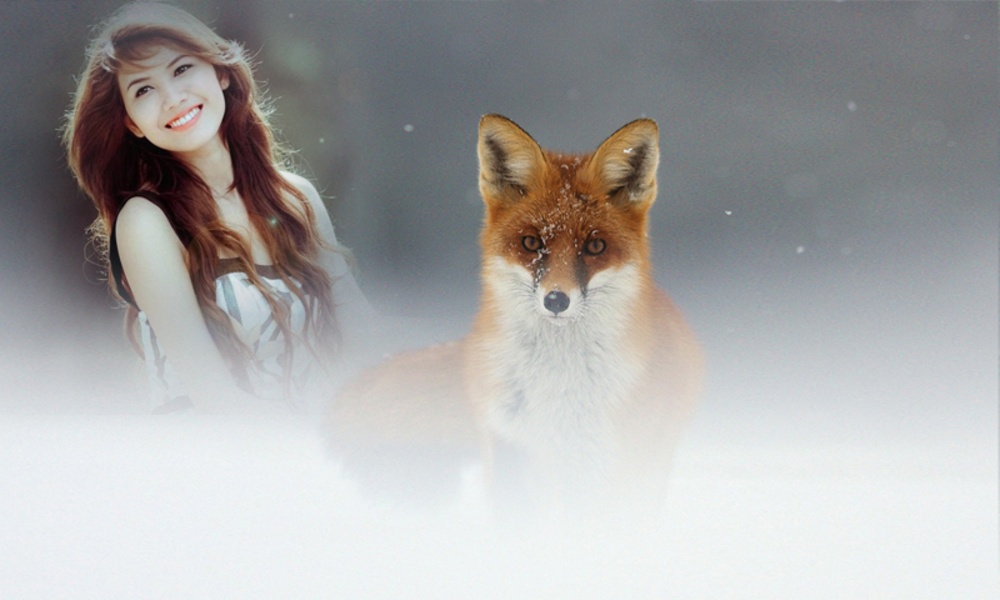 Wildlife Photo Frame - Preview 1