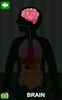 Body Parts for Kids screenshot 2