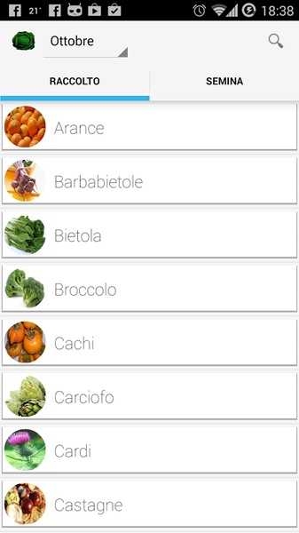 Greengrocer - Preview 4