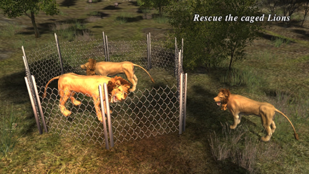 Lion 3D Attack - Preview 1