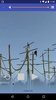 Server Cast screenshot 1