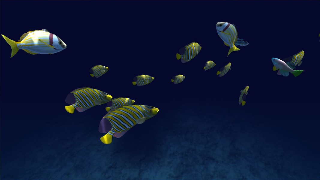 Fish Schooling - Preview 2